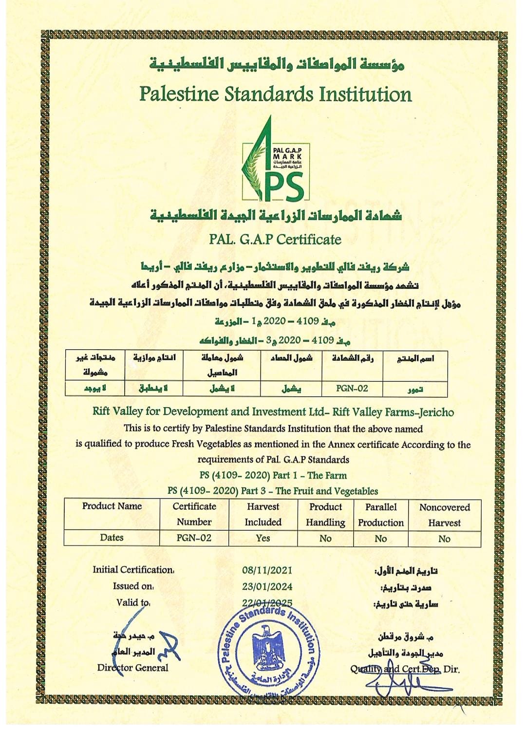 Medjool Datteln Jumbo